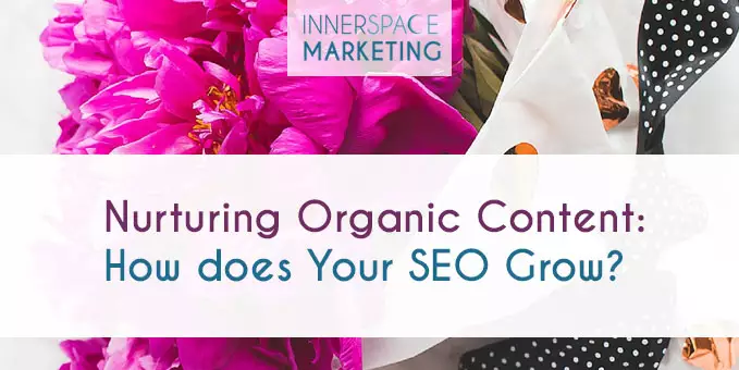 Nurturing Organic Content: How Does Your SEO Grow